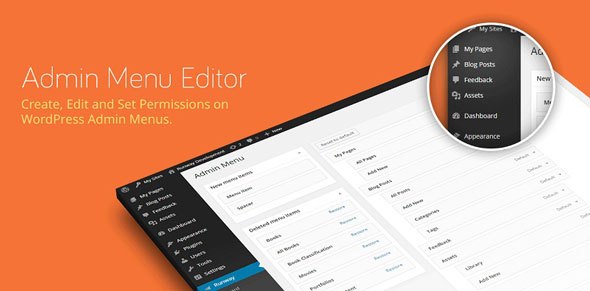 Admin-Menu-Editor-Pro-WordPress-Plugin-.jpg