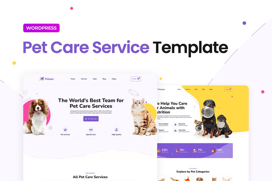 pet-care-babiato-@TingTung.jpg