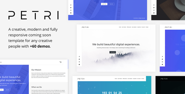 Petri - Creative Coming Soon Template.png
