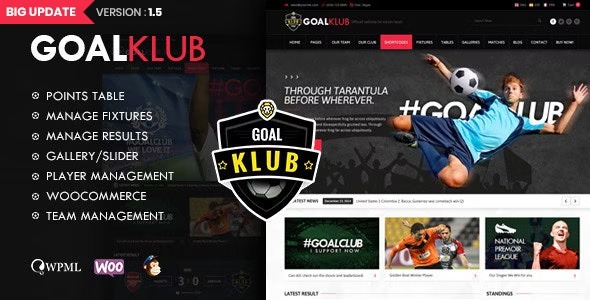 theme-preview.__large_preview.jpg