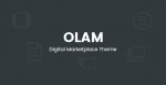 olam wp theme 213414fhh.jpg