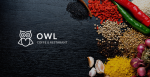 OWL - Cafe & Restaurant Drupal 8 Template.png