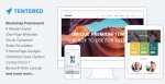 Tentered - Multi Purpose WordPress Theme.jpg
