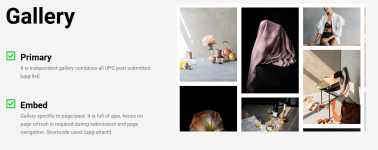 User Post Gallery ODude Wordpress.png