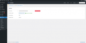 perfmatters ‹ nurako — WordPress.png