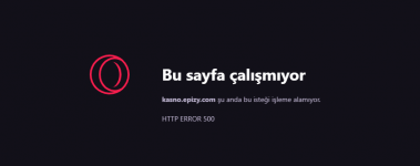 resim_2022-08-29_041311.png