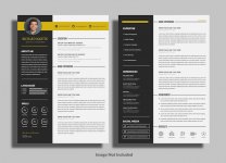 cv-resume-template_72212-45.jpg