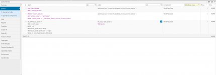 Query monitor Bricks page builder.jpg