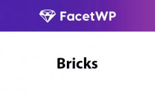 facetwp-bricks.jpg