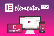 elementor-pro-600.jpg