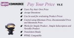 WooCommerce Pay Your Price.jpg