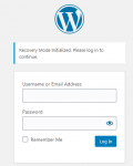 2020-04-22 21_26_34-Log In WordPress.png