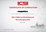 icsi.png