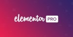 elementor-pro-plugin.jpg