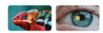 1597840912072.png