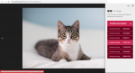 wordpress-image-download-example.png