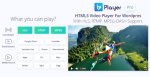 bzplayer Pro.jpg