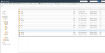 cPanel File Manager v3 - Google Chrome 02_10_2021 11_49_26 PM (2).png