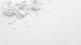 top-view-frame-with-white-flowers-background.jpg