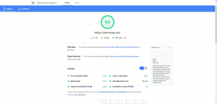 Pagespeed mobile.png Pagespeed mobile.png