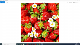 1618494627845.png