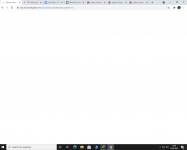 flow builder white screen.PNG