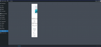 WPtouch.PNG