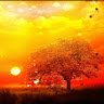abdu.xalim