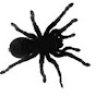 sonofspider