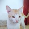 Rusty12