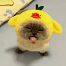 wewqfweqfweq3feq