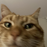 xdxdxdxdswaawd2