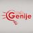 webgenije