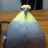 andrewaltair