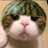 SabbirCode