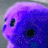 xwx