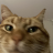 xdxdxdxdswaawd2
