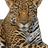 Stenly