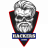 DEVILRC36