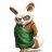 Shifu