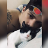 paulotirado
