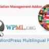 WPML Translation Management Addons