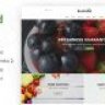 Ecofood - Responsive Organic Store Magento 2 Theme