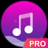 Music player - pro version