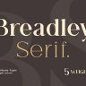 Breadley Serif by Ardyanatypes