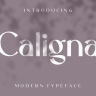 Caligna Premium Font By Holismjd