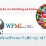 WPML Gravity Forms Multilingual Addon