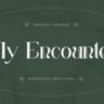 My Encounter - Expressive Serif Font