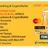 MeetsLite Ewallet Banking & Crypto with P2P Exchange, Debit Cards, Payment gateway