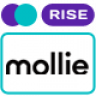 Mollie payment method for RISE CRM